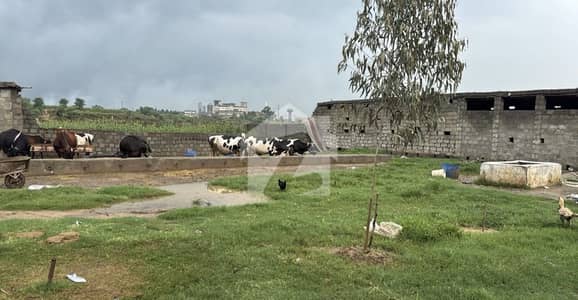 Beautiful Plot For Industry And Farming Beautiful Plot For Industry And Farming