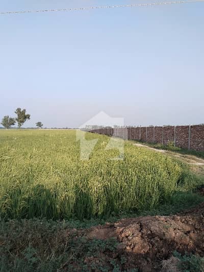 سرایچ لاہور میں 320 کنال زرعی زمین 88.0 کروڑ میں برائے فروخت۔