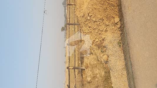 Beautiful Solid Land