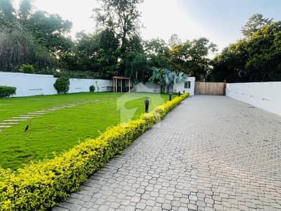 Beautiful House For Rent In G6