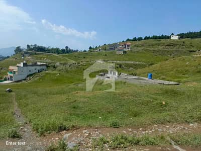 **10 Marla Residential Plot For Sale Township Scheme, Sector D**
