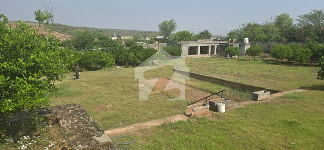 5 Kanal Farm House In Islamabad Farm Houses Society