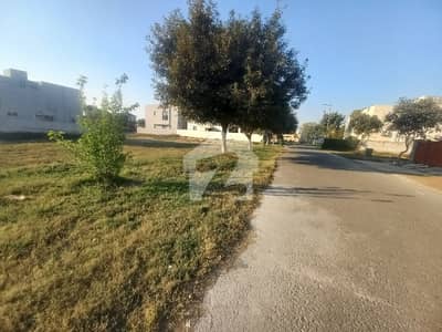 Near McDonald And Main Boulevard Ideal Location For Builders And Investors