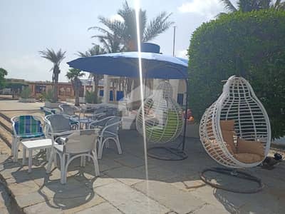 1200 Sq Yards Commercial Title Hut For Sale.