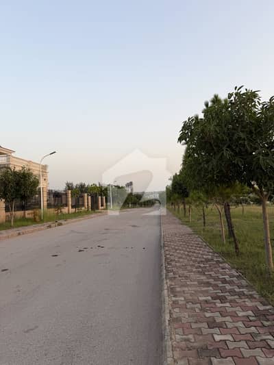 Gulberg Green Block D 10Kanal MainRoad Corner Developed Possession Farmhouse Plot Available For Sale