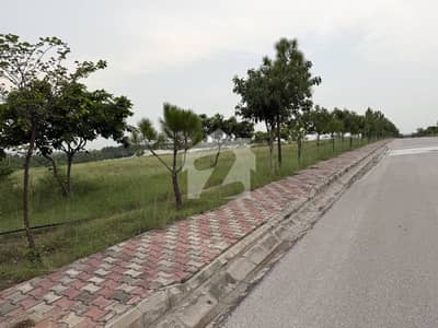 Gulberg Green 5kanal Developed Possession 32Series Developed Possession Farmhouse Plot Available For Sale Gulberg Green 5kanal Developed Possession 32Series Developed Possession Farmhouse Plot Available For Sale