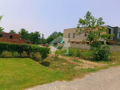 20 Marla Super Hot Location Reasonable Price 20 Marla Plot Available Surrounding Houses in Numbering 100