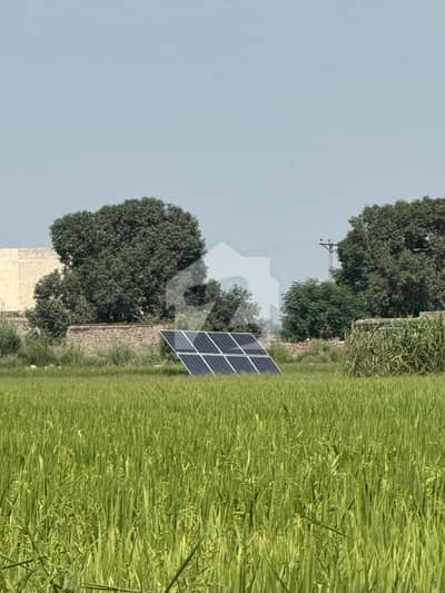 864 Kanal Agricultural Land for Sale in Kachi Kothi, Changa Manga. Land is fully ready for rice farming 864 Kanal Agricultural Land for Sale in Kachi Kothi, Changa Manga. Land is fully ready for rice farming