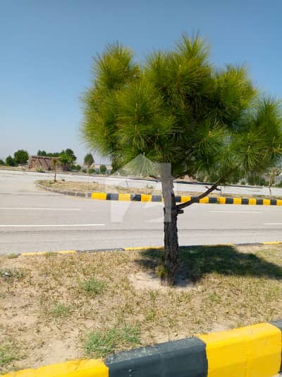 ڈی ایچ اے ڈیفنس فیز 7 ڈی ایچ اے ڈیفینس,اسلام آباد میں 8 مرلہ رہائشی پلاٹ 55.0 لاکھ میں برائے فروخت۔