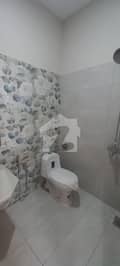 26 