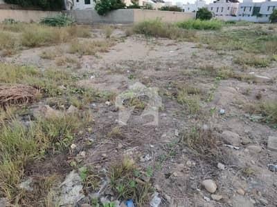 The Residential Plot Sahil Street 19