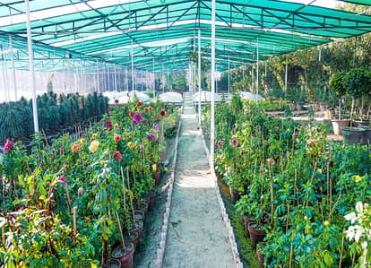 Stunning 20 Marla Residential Plot In DHA Phase 1 - Sector S Available