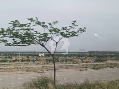 Road 24 Near Sport City Villas Road 24 Near Sport City Villas