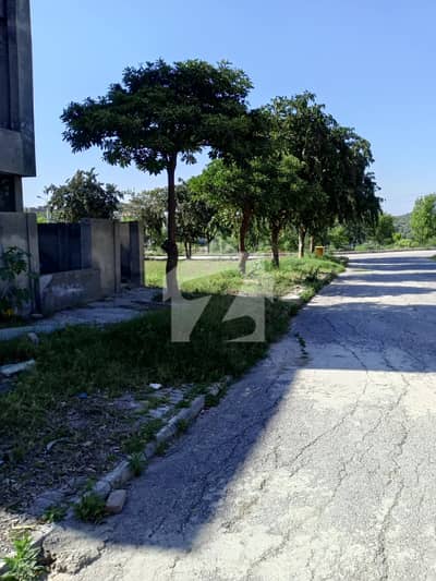 10 Marla Scenic View Plot for Sale in DHA Phase 3 | Prime Location | All Amenities 10 Marla Scenic View Plot for Sale in DHA Phase 3 | Prime Location | All Amenities
