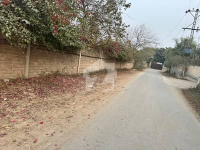 بیدیاں روڈ لاہور میں 8 کنال زرعی زمین 3.0 کروڑ میں برائے فروخت۔