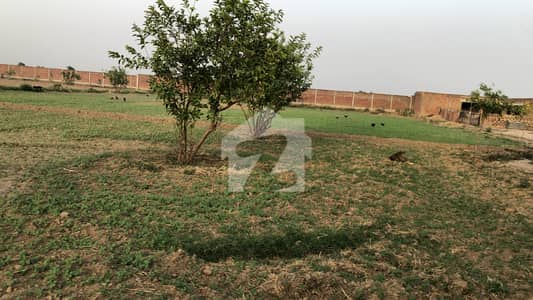 بیدیاں روڈ لاہور میں 8 کنال زرعی زمین 2.0 کروڑ میں برائے فروخت۔