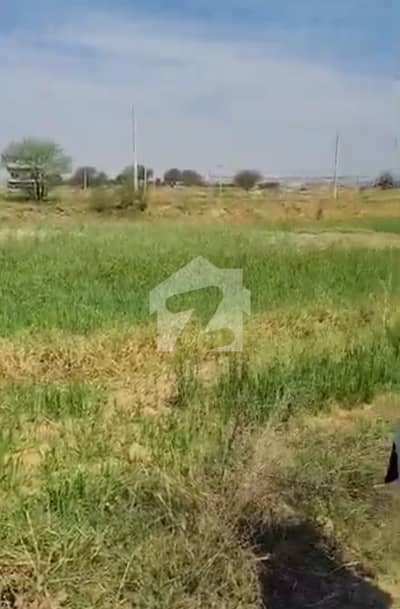 آئی ۔ 16 اسلام آباد میں 8 مرلہ رہائشی پلاٹ 1.25 کروڑ میں برائے فروخت۔