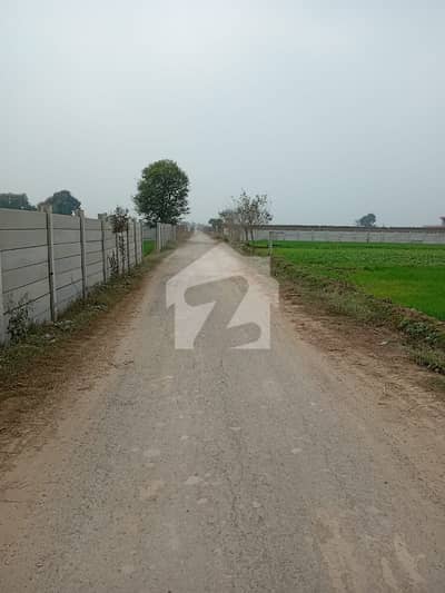 برکی روڈ کینٹ,لاہور میں 16 کنال زرعی زمین 2.5 کروڑ میں برائے فروخت۔