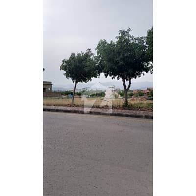 Sector M 1 Kanal Plot Available