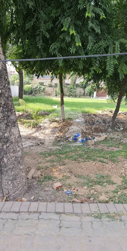 32 MARLA PLOT FOR SALE AT SARWAR ROAD 32 MARLA PLOT FOR SALE AT SARWAR ROAD