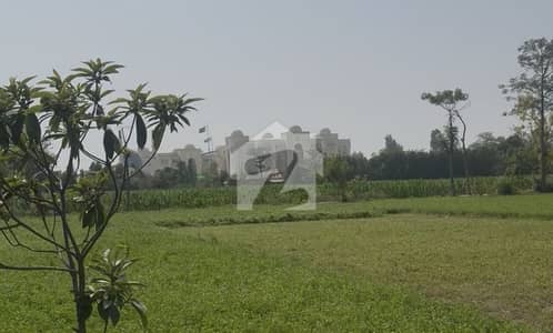 16 Acres Prime Land for Sale Mustafabad Lalyani, Kasur