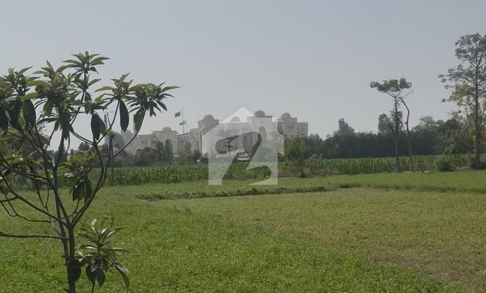 16 Acres Prime Land for Sale Mustafabad Lalyani, Kasur 16 Acres Prime Land for Sale Mustafabad Lalyani, Kasur