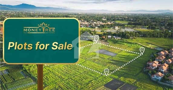 Chance deal 1000 Yard Plot for sale
