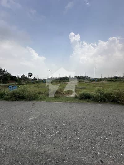 5 MARLA PLOT FOR SALE AT HOT LOCATION