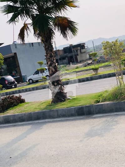 Corner On Wide Road Direct Excess To Main Road Highted Location Corner On Wide Road Direct Excess To Main Road Highted Location