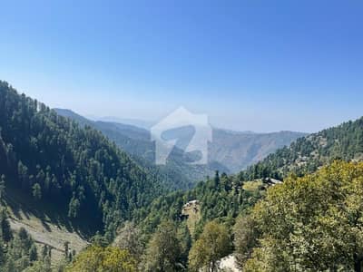 Changla Gali Hotel Plot For Sale