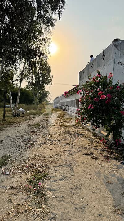 130 Kanal Prime Land In Kalar Kahar Chakwal 130 Kanal Prime Land In Kalar Kahar Chakwal