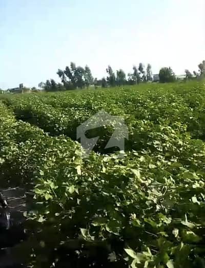 384 Kanal Agricultural Land For Sale In Keti Bunder Highway