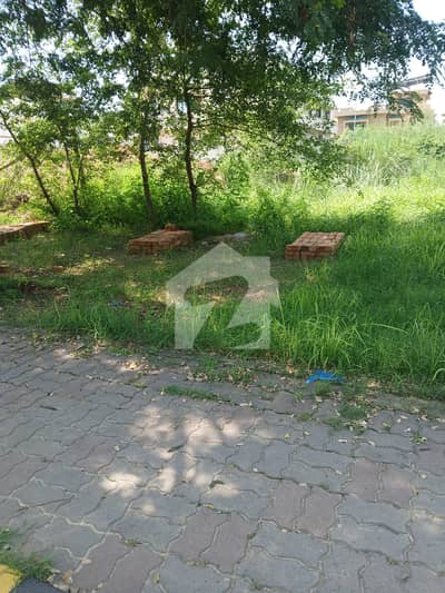 Main Road South face level plot