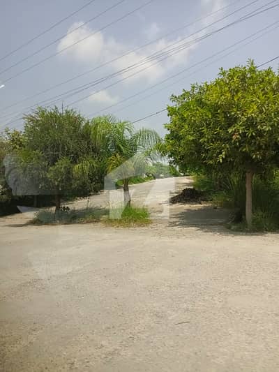 5 Marla Residential Plot for Sale in Zamar Valley Islamabad