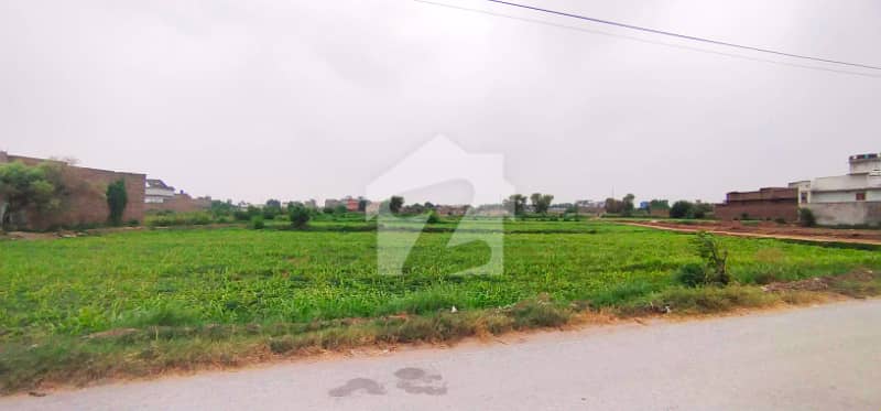 20 Kanal For Rent Near HBK RIng Road Hayatabad 20 Kanal For Rent Near HBK RIng Road Hayatabad