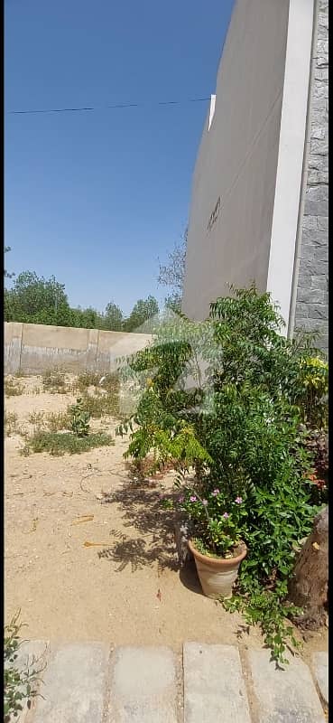 LOW BUDGET PLOT FOR SALE