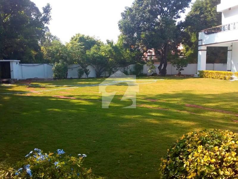 F-6 2000 SQYD Old House Is For SALE F-6 2000 SQYD Old House Is For SALE