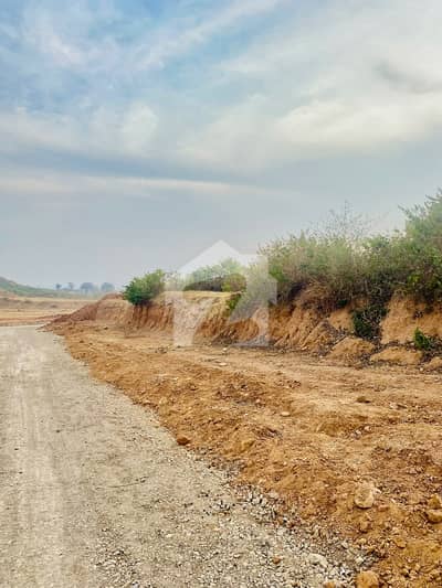 Buy A Centrally Located 1 Kanal Residential Plot In C-14