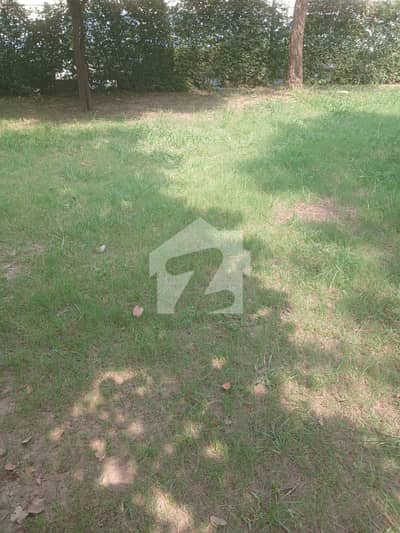 D-12/3 Plot For Sale Size 40/80