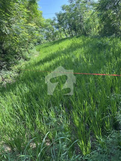 گل آباد لوئر دیر میں 1 کنال رہائشی پلاٹ 1.8 کروڑ میں برائے فروخت۔