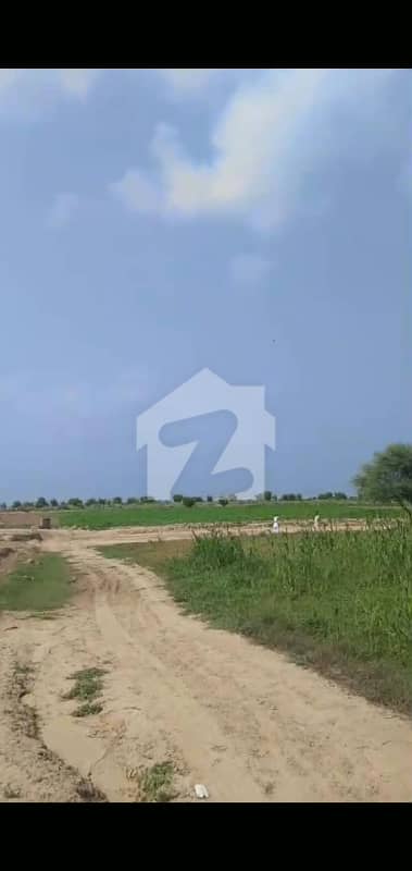 چشتیاں روڈ بہاولنگر میں 200 کنال زرعی زمین 1.5 کروڑ میں برائے فروخت۔