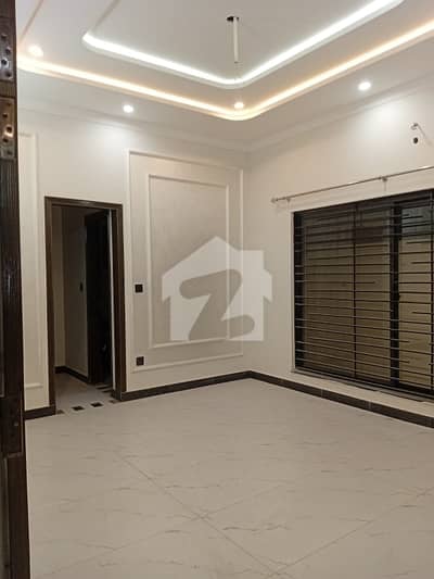 flat for rent bachelor and office
