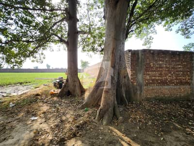 2 Acre 16 Marla Prime Location Boundary Wall Plot