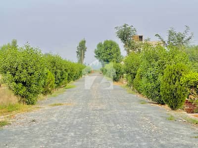 مُصطفی آباد للیانی لاہور میں 3 مرلہ رہائشی پلاٹ 7.0 لاکھ میں برائے فروخت۔