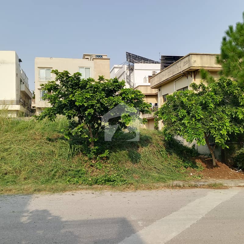 Plot For Sale At Reasonable Price Plot For Sale At Reasonable Price