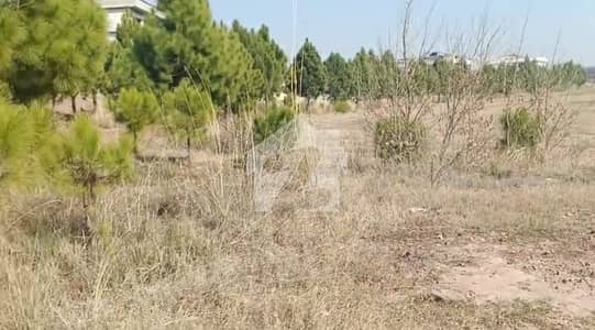 ڈی ایچ اے سیکٹر جے - بلاک 1 ڈی ایچ اے سیکٹر جے,ڈی ایچ اے ڈیفینس,گوجرانوالہ میں 10 مرلہ رہائشی پلاٹ 75.0 لاکھ میں برائے فروخت۔ ڈی ایچ اے سیکٹر جے - بلاک 1 ڈی ایچ اے سیکٹر جے,ڈی ایچ اے ڈیفینس,گوجرانوالہ میں 10 مرلہ رہائشی پلاٹ 75.0 لاکھ میں برائے فروخت۔