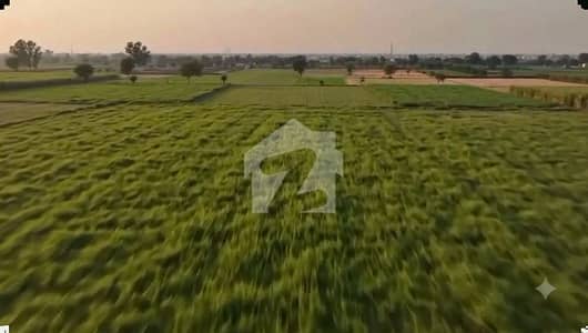 Lahore Organic Farms Society Located On Main Barki Road, Lahore