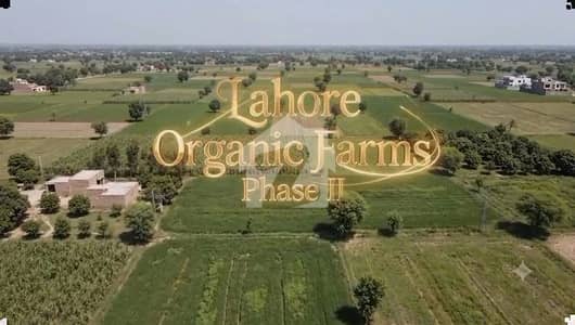 Lahore Organic Farms Society Located on Main Barki Road, Lahore. Lahore Organic Farms Society Located on Main Barki Road, Lahore.