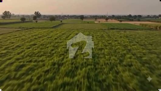 Lahore Organic Farms Society Located On Main Barki Road, Lahore.