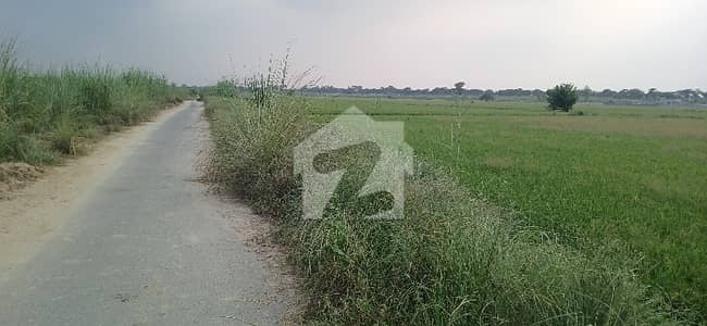 بیدیاں روڈ لاہور میں 48 کنال زرعی زمین 9.6 کروڑ میں برائے فروخت۔